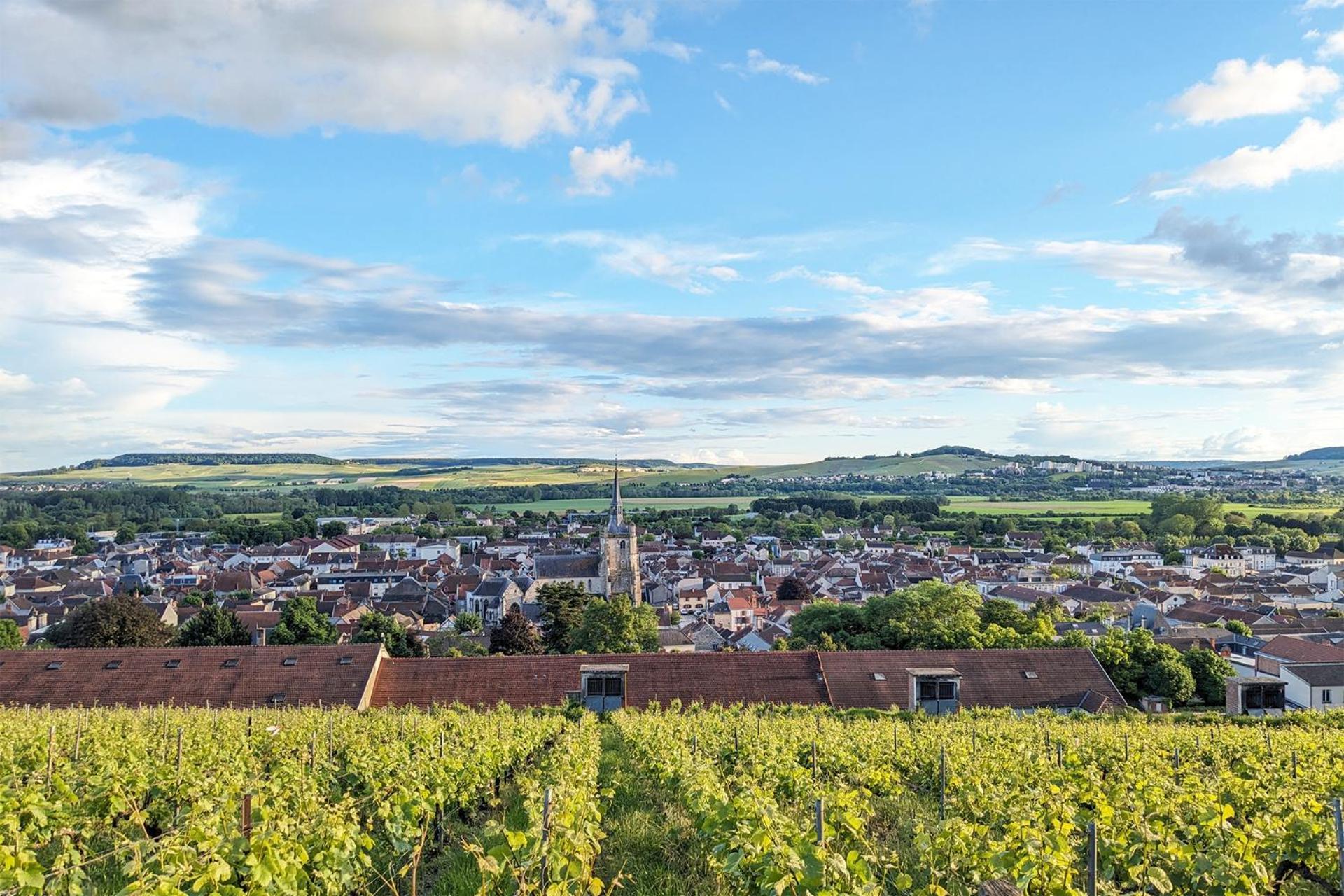 Maison A Deux Mains Ay-Champagne Buitenkant foto